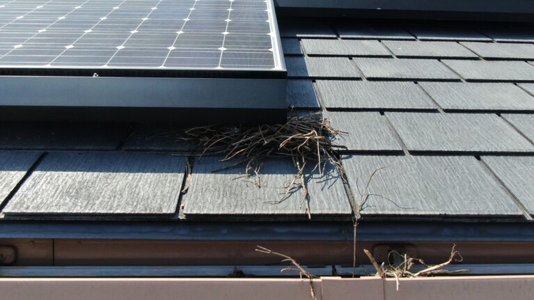 豊橋市 豊川市 太陽光発電パネル鳥よけネット取付 直営安心価格