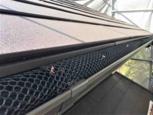 雨どい掃除（落ち葉よけネット）1