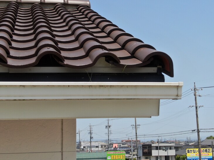 【屋根のプロが教える】軒先面戸の必要性とおすすめメンテナンス方法