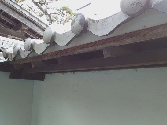 【屋根のプロが教える】軒先面戸の必要性とおすすめメンテナンス方法