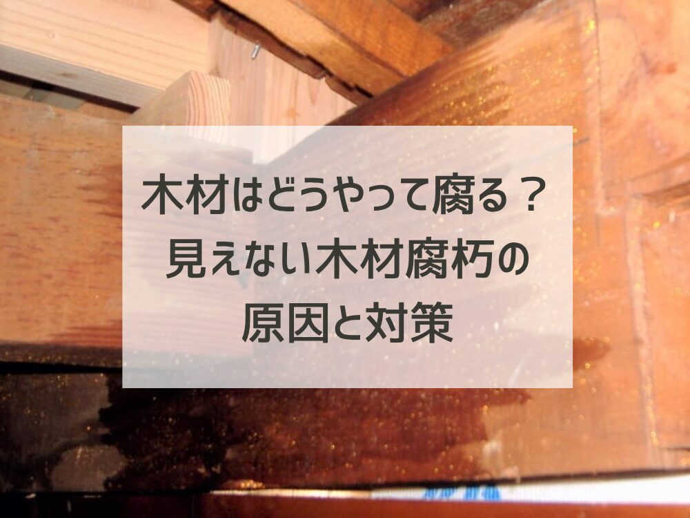木材はどうやって腐るの？～見えない場所で進行する「木材腐朽」と住まいへの影響～
